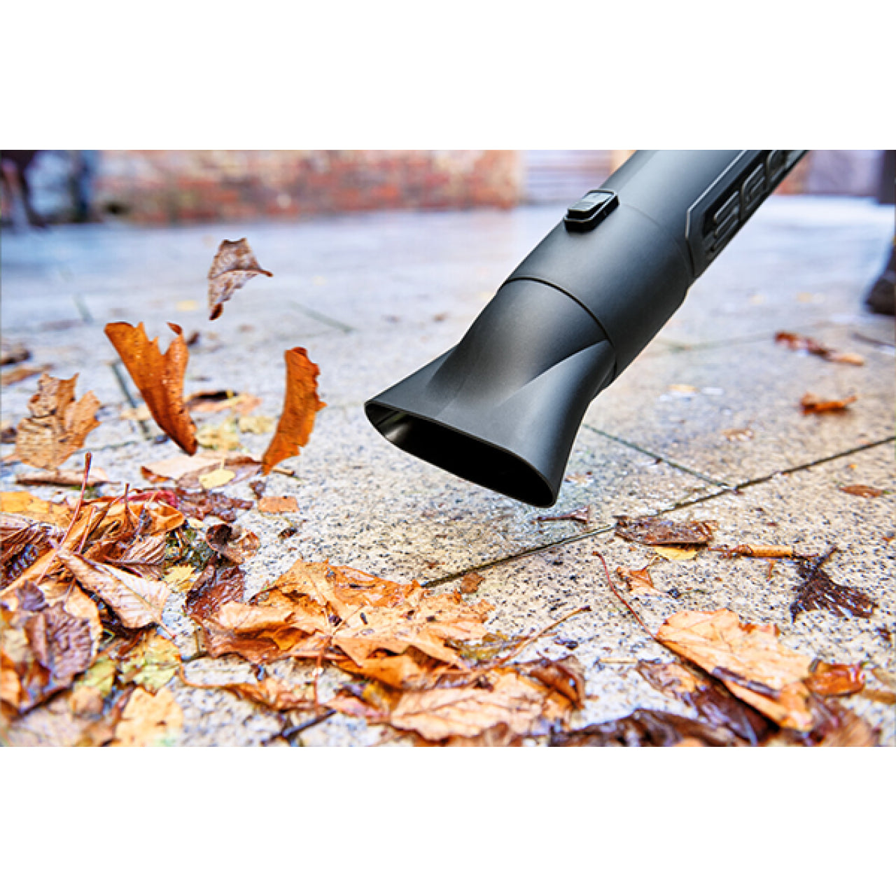 11457-1_EGO_0380052011