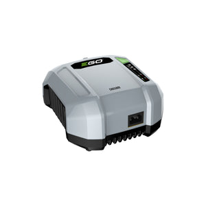 41162-1_EGO_0220113001