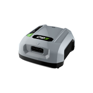 41162_EGO_0220113001