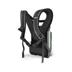 41163-1_EGO_0400132002